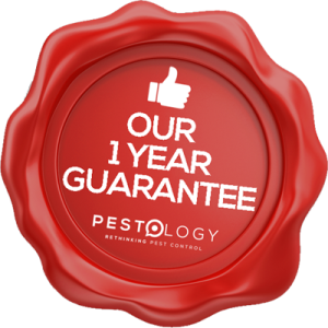 Rat Control and Mice Control Guarantee