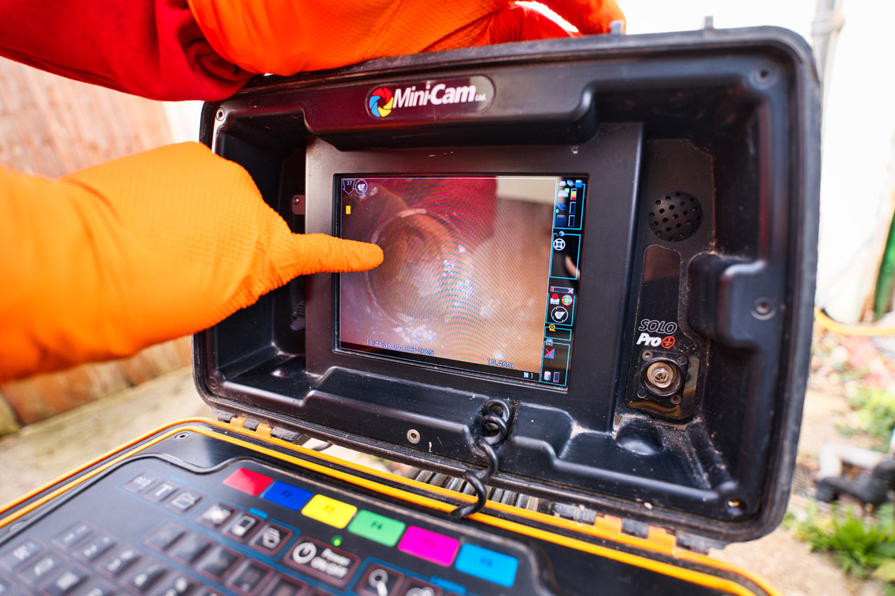 Pest Control Experts in London and the South East of England