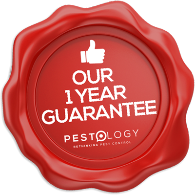 Pest Control Guarantee