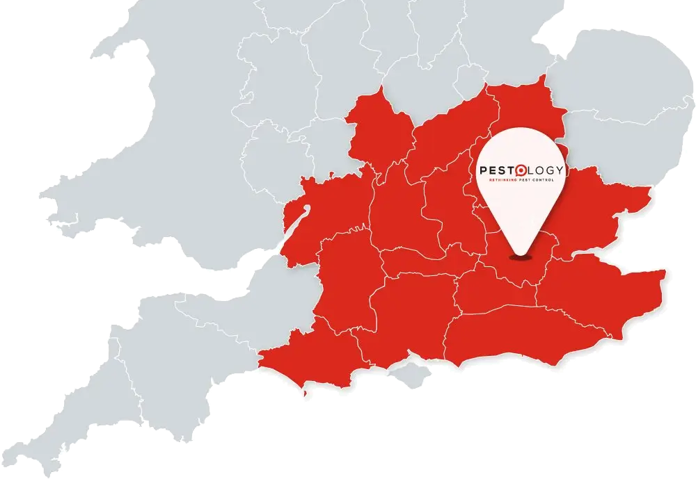 Pest Controller London and the South East