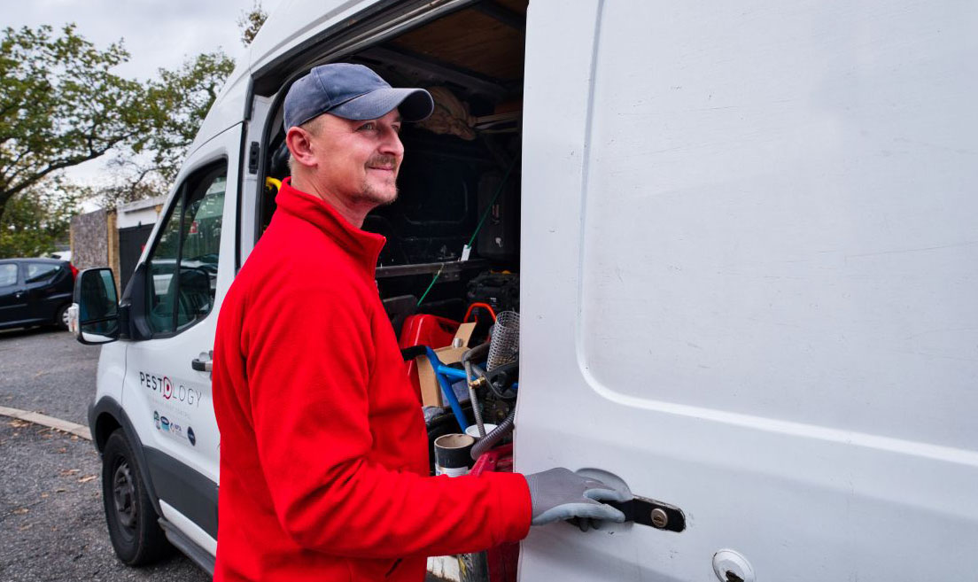 Successful Rat Control and Mouse Control Services