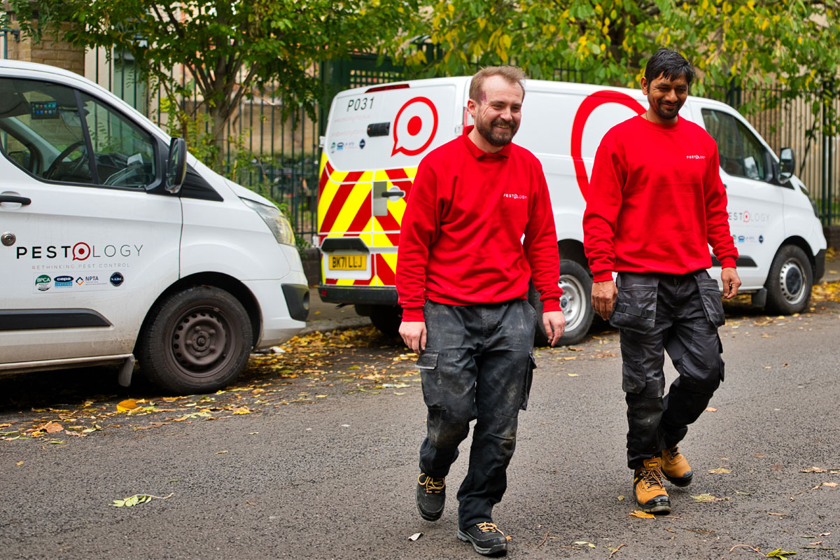 Pest Control Experts in Birmingham and the Midlands