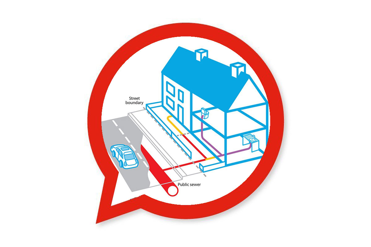 Rodent Control Survey