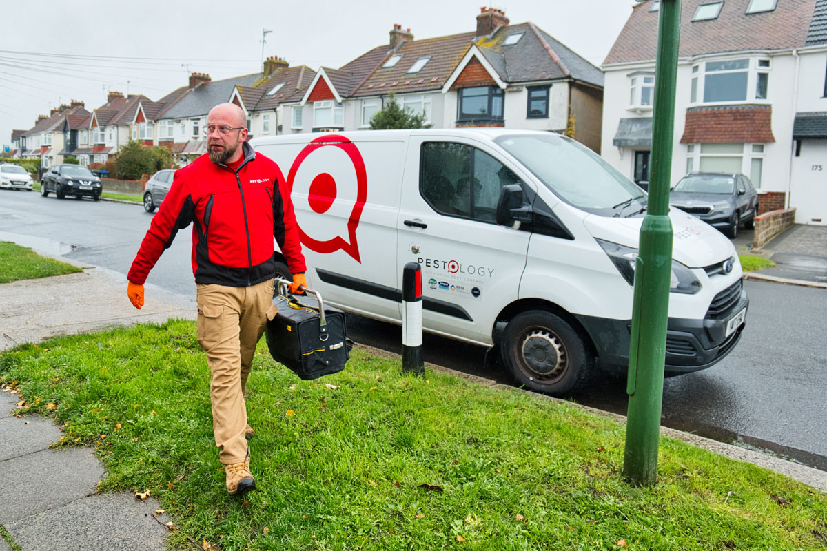 Pest Control Experts Birmingham