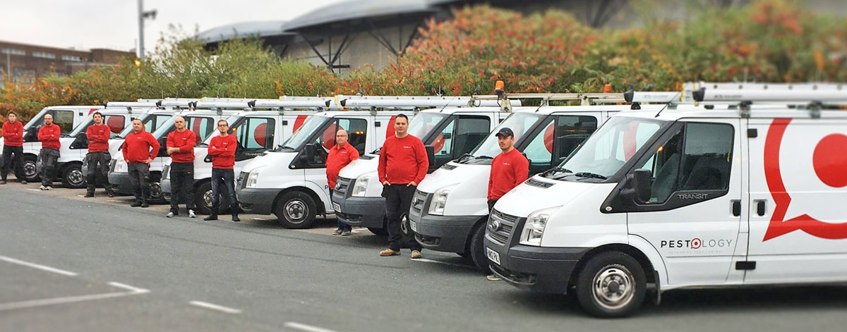 Pest Control Team in the Midlands